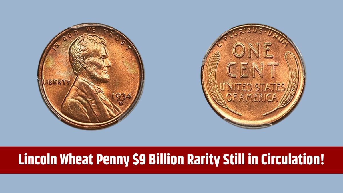 Lincoln Wheat Penny - $9 Billion Rarity Still in Circulation!